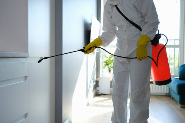 Best Organic or Eco-Friendly Pest Control  in Syosset, NY